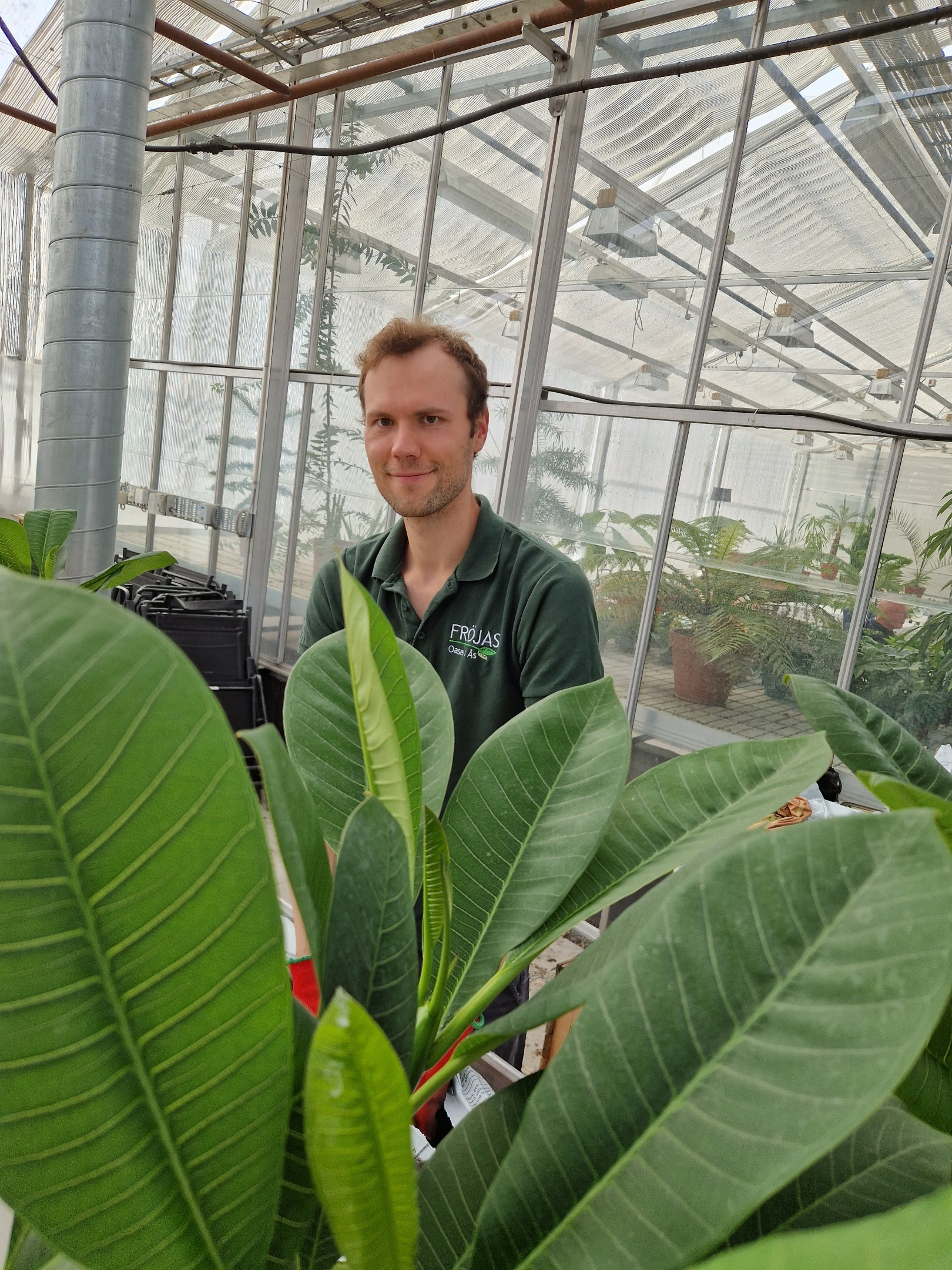 Fröjas Oasen i Ås Handelsträdgård kafe öppet året runt