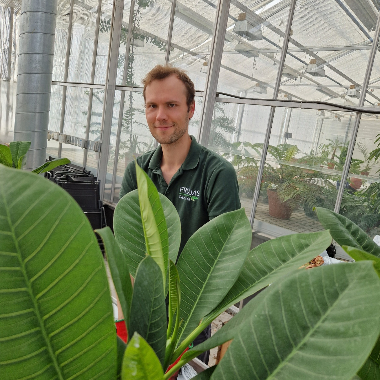 Växter och blommor på Fröjas. Oasen i Ås