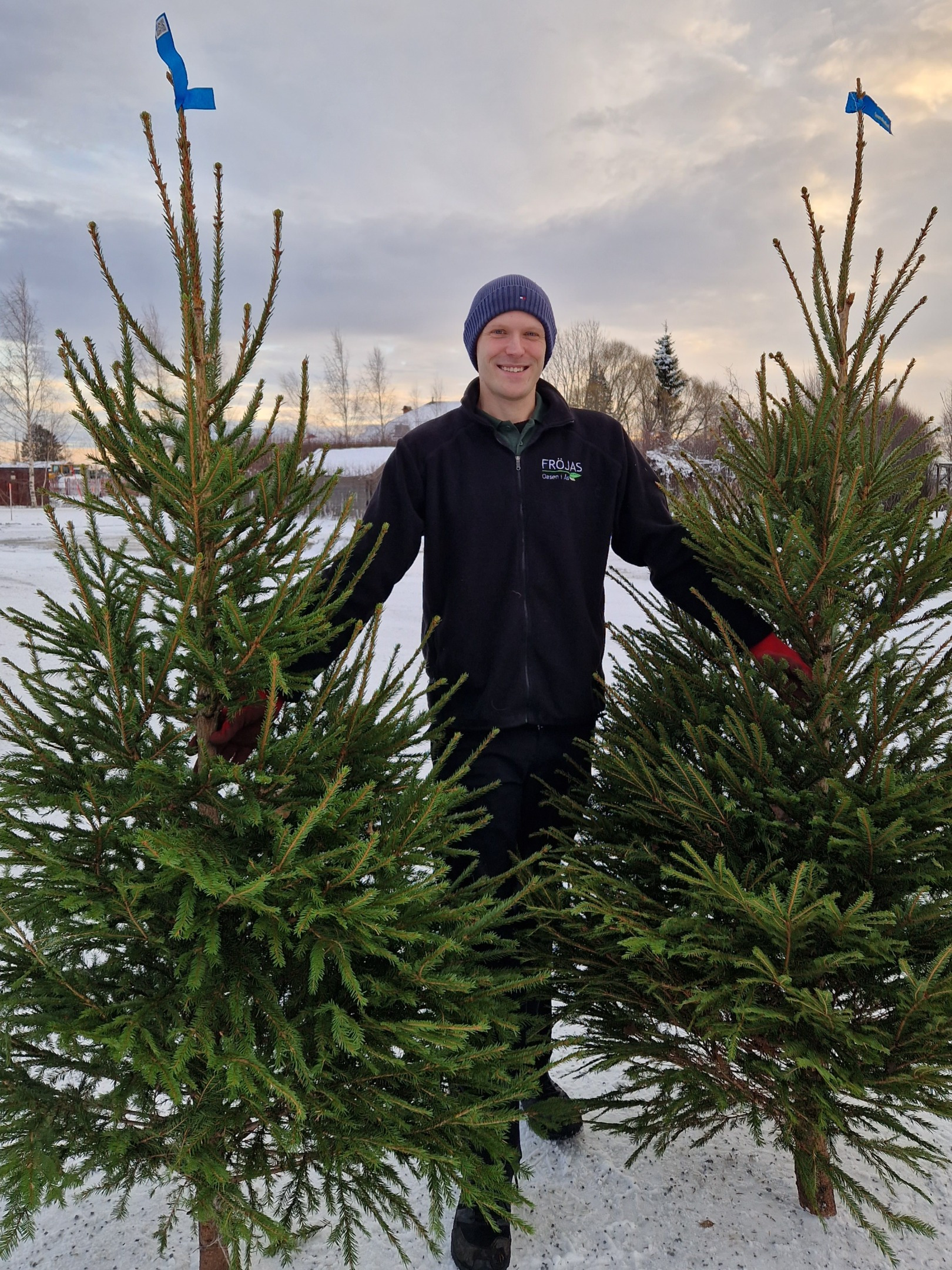 Fröjas, Oasen i Ås Kafé Handelsträdgård Världsbutik ljung