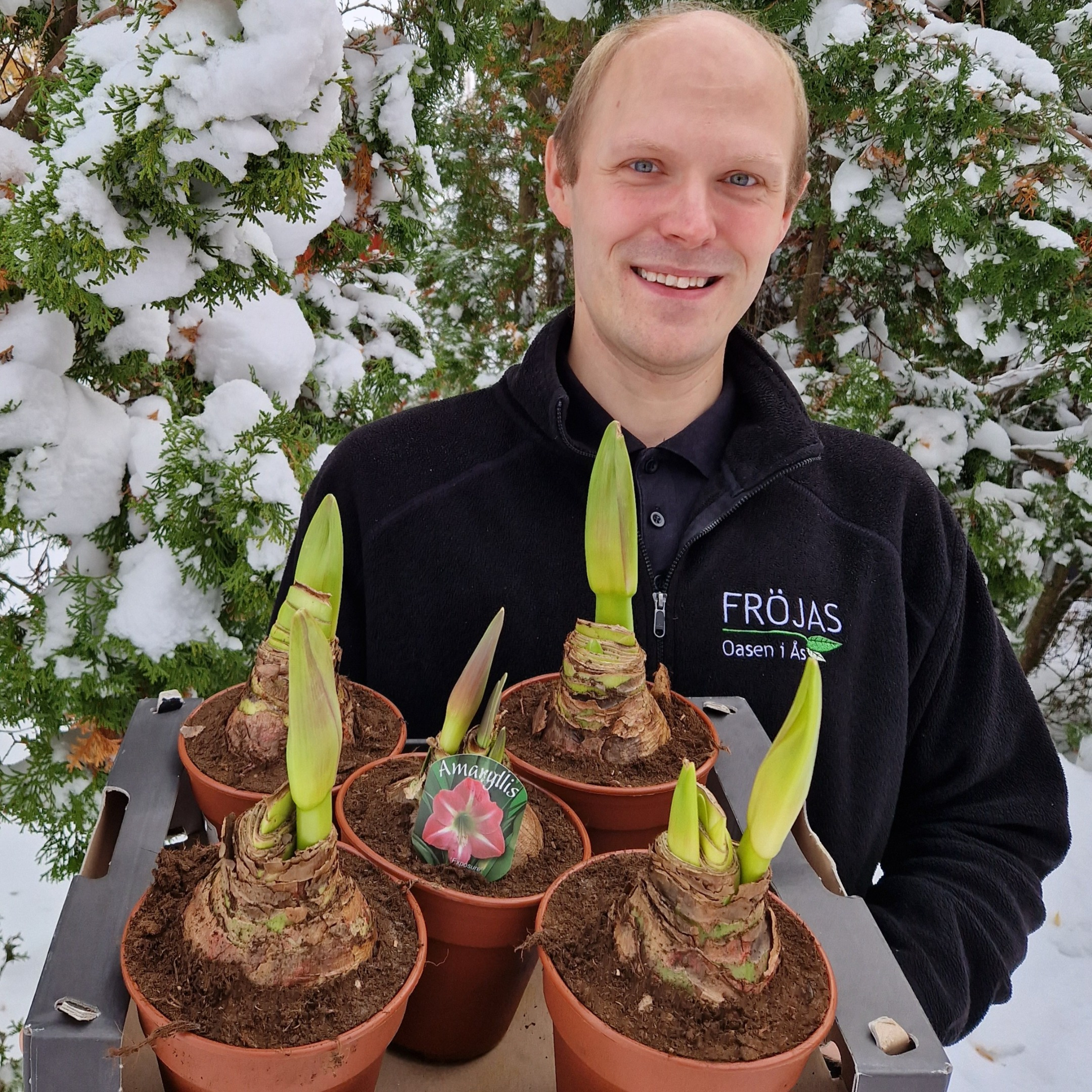 Växter och blommor Fröjas handesträdgåd